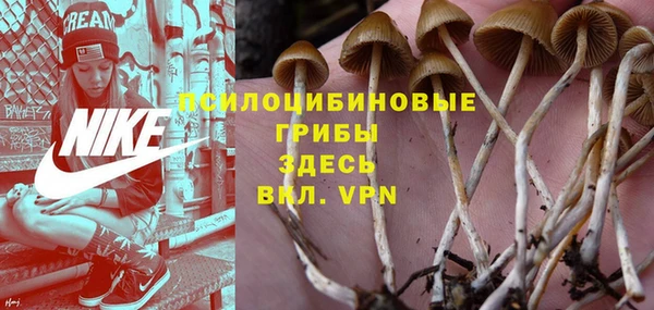 прущая мука Балабаново