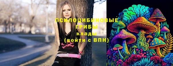 дмт Сатка