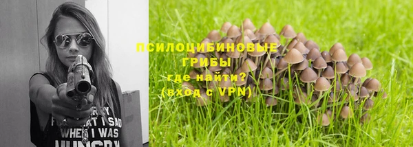 трава Саяногорск