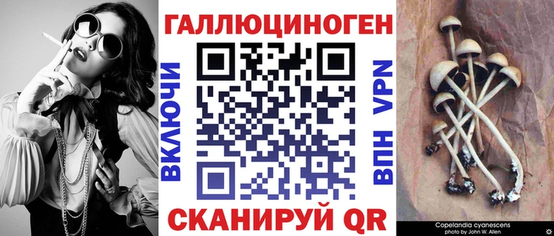 Псилоцибиновые грибы Psilocybine cubensis  Бежецк 